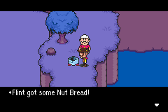 This is another one of those regional things - I think some people might say 'a Nut Bread'. But I can't be a region-free translator so I picked what I would say