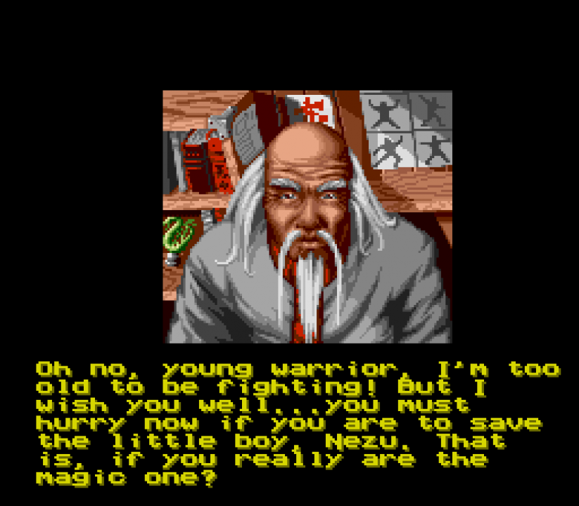 Shaq Fu kung fu master