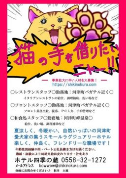 A help-wanted flier uses the "I'd even borrow a cat's hand" idiom