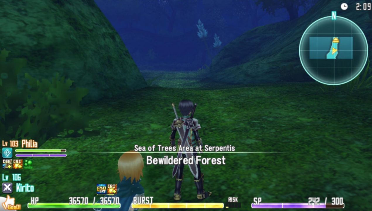 It became the pretty decent "Bewildered Forest" in the game's otherwise crazy English translation