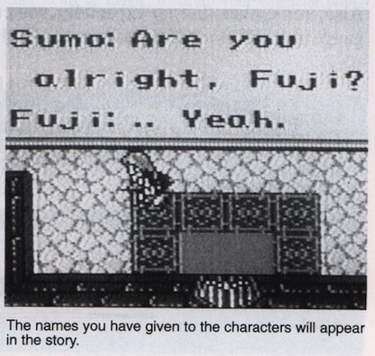 The guide mentions that their names will change to match what you name them at the start, though