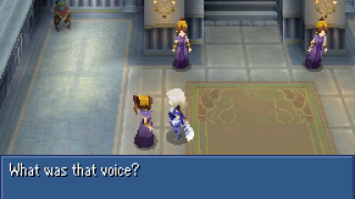 DS translation DS translation