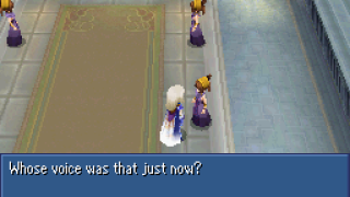 DS translation DS translation